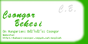 csongor bekesi business card